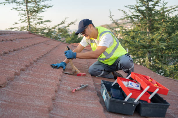 Best Chimney Flashing Repair  in Claypool Hill, VA